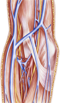 improve-peripheral circulation